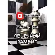 Постер книги Пешечный гамбит