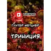 Постер книги Trinicia