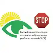 Постер книги Тифлобудущее