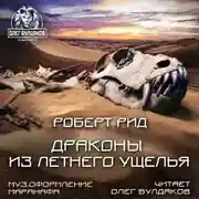 Постер книги Драконы из Летнего Ущелья