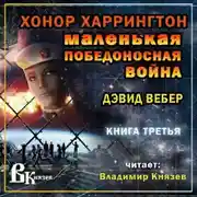 Постер книги Маленькая победоносная война