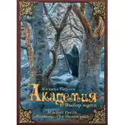 Постер книги Академия. Выбор пути