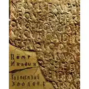 Постер книги Контактный зоопарк