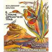 Постер книги В стране дремучих трав