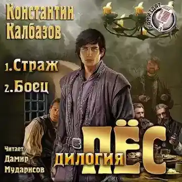 Постер книги Страж