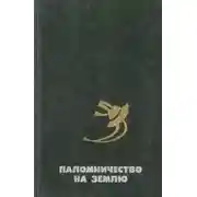 Постер книги Ремонтник