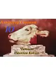 Сорокин Владимир - Ю
