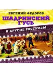 Федоров Евгений - Шадринский гусь и другие повести