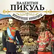 Постер книги Железные четки