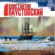 Постер книги Северная повесть