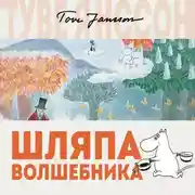 Постер книги Шляпа Волшебника