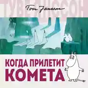 Постер книги Когда прилетит комета