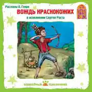 Постер книги Вождь краснокожих. Избранные рассказы