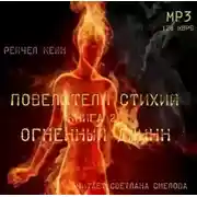 Постер книги Огненный джинн