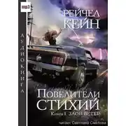 Постер книги Злой ветер