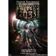 Постер книги Объект 12