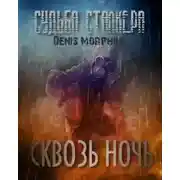 Постер книги Судьба Сталкера. Сквозь Ночь