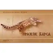 Постер книги Прыжок барса