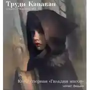 Постер книги Гильдия магов