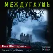 Постер книги Междуглушь