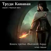Постер книги Высокий Лорд