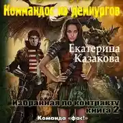 Постер книги Коммандос из демиургов