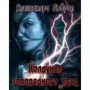 Постер книги Колдунья заповедного леса