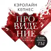 Постер книги Провидение