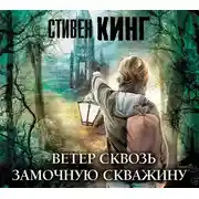 Постер книги Ветер сквозь замочную скважину