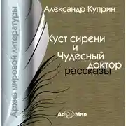 Постер книги Рассказы