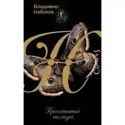 Постер книги Приглашение на казнь