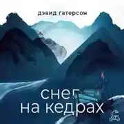Постер книги Снег на кедрах