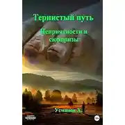 Постер книги Неприятности и сюрпризы. Тернистый путь Книга 06