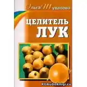 Постер книги Целитель лук