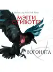 Мэгги Стивотер - Воронята