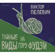 Постер книги Тайные виды на гору Фудзи