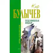 Постер книги Подземелье ведьм