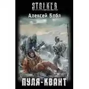 Постер книги Пуля-квант