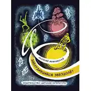 Постер книги Заблудившийся звездолёт