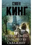 Стивен Кинг - Ветер сквозь замочную скважину (Темная Башня 4.5)