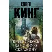 Постер книги Ветер сквозь замочную скважину (Темная Башня 4.5)