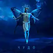 Постер книги Чудо