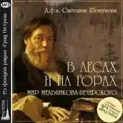 Постер книги В лесах и на горах, мир Мельникова-Печерского