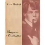 Постер книги Встречи с Есениным