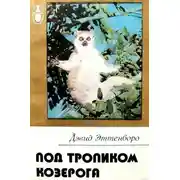 Постер книги Под тропиком козерога