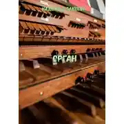 Постер книги Орган