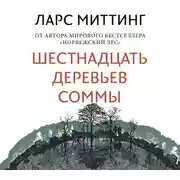 Постер книги Шестнадцать деревьев Соммы