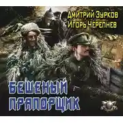 Постер книги Бешеный прапорщик