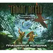 Постер книги Плащаница колдуна