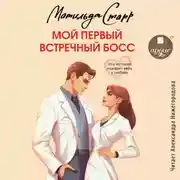 Постер книги Мой первый встречный босс